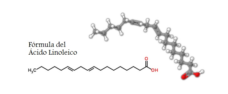 acido linoleico