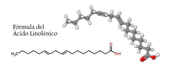 linolenic acid vs linoleic acid