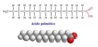 Propiedades de ácido palmítico