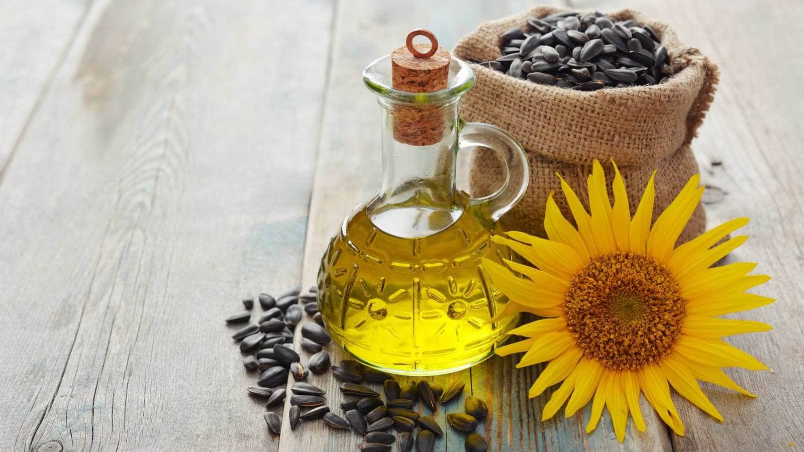 Comprar Aceite de girasol | Proveedor de Aceite de Girasol | Cailà & Parés