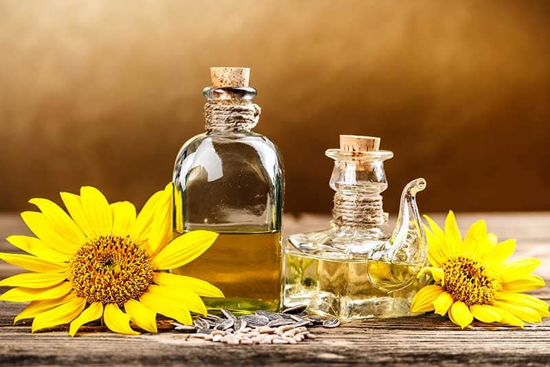 Comprar Aceite de girasol | Proveedor de Aceite de Girasol | Cailà & Parés